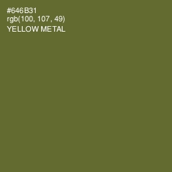 #646B31 - Yellow Metal Color Image